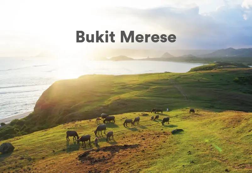 Mengenal Bukit Merese