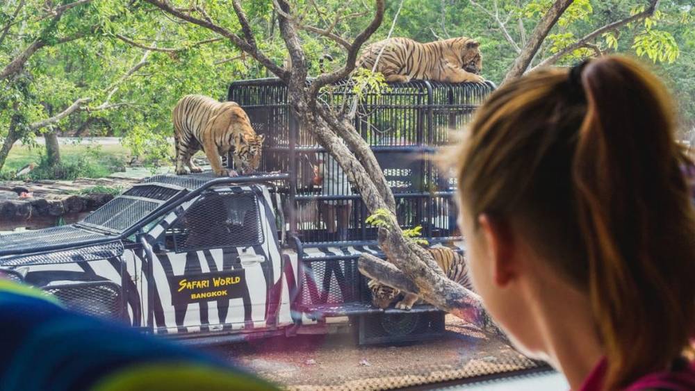 Hệ sinh thái đa dạng tại Safari World | Bản đồ du lịch Bangkok