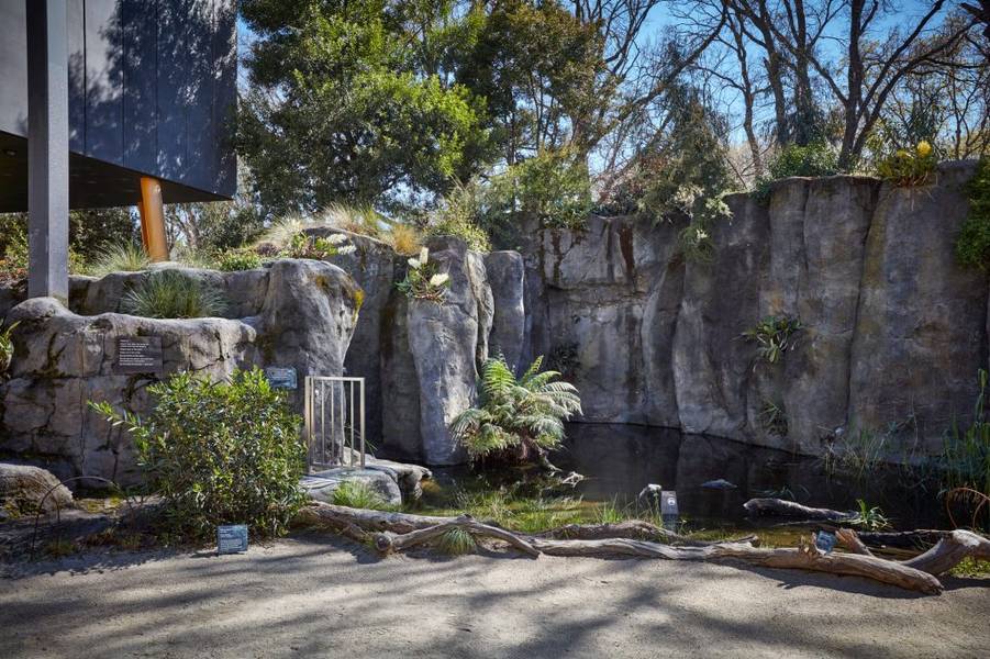 Mỗi một loài thực vật tại Milarri Garden Trail mang một đặc tính khác nhau với bảng thông tin tham khảo cho du khách I Melbourne Museum