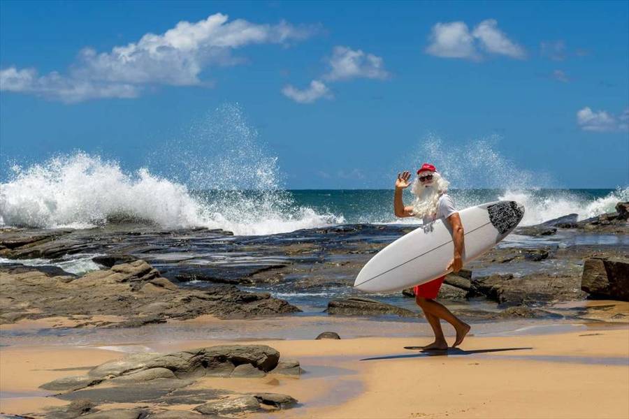 536607　australia_christmas_food