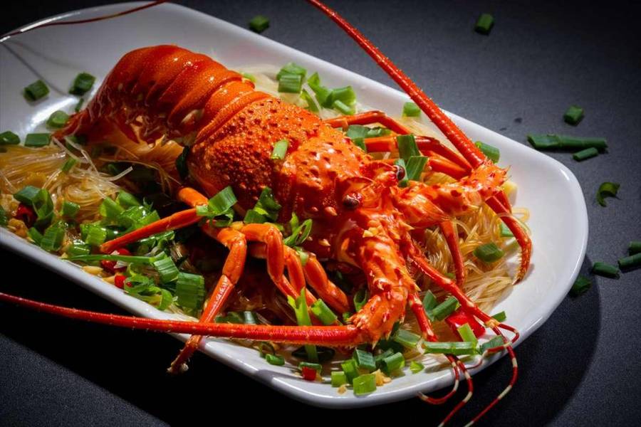 536607　australia_christmas_food