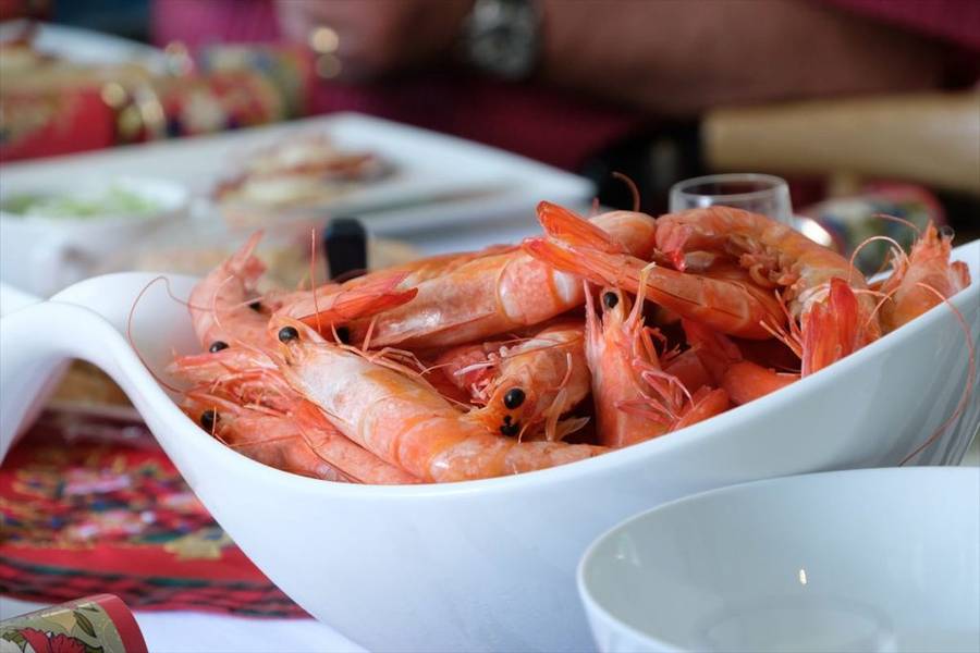 536607　australia_christmas_food