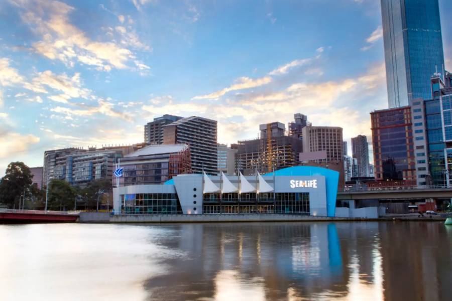 Chạm vào thế giới đại dương tại SEA LIFE Melbourne Aquarium | Địa điểm du lịch Melbourne