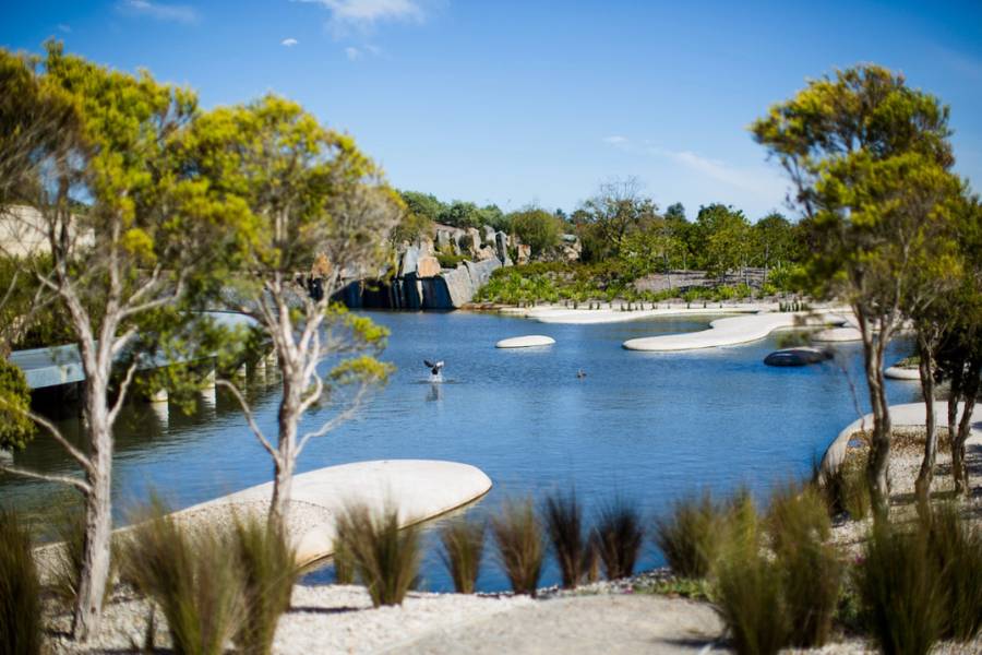 Một góc check-in đắt giá tại Royal Botanic Gardens | Địa điểm du lịch Melbourne