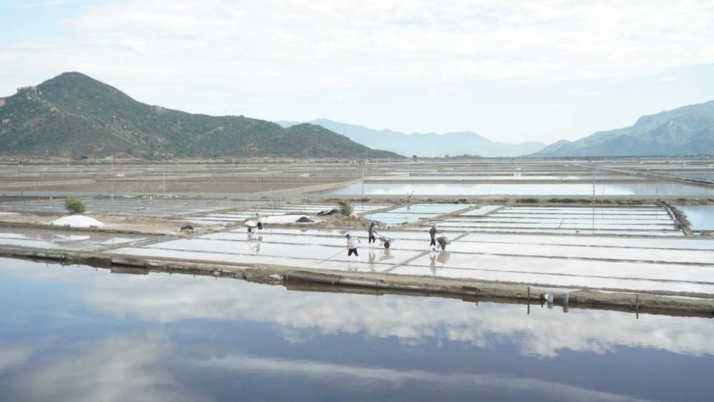 Cánh đồng muối Đầm Vua là địa điểm du lịch Phan Rang mang đậm chất mộc mạc, hoang sơ