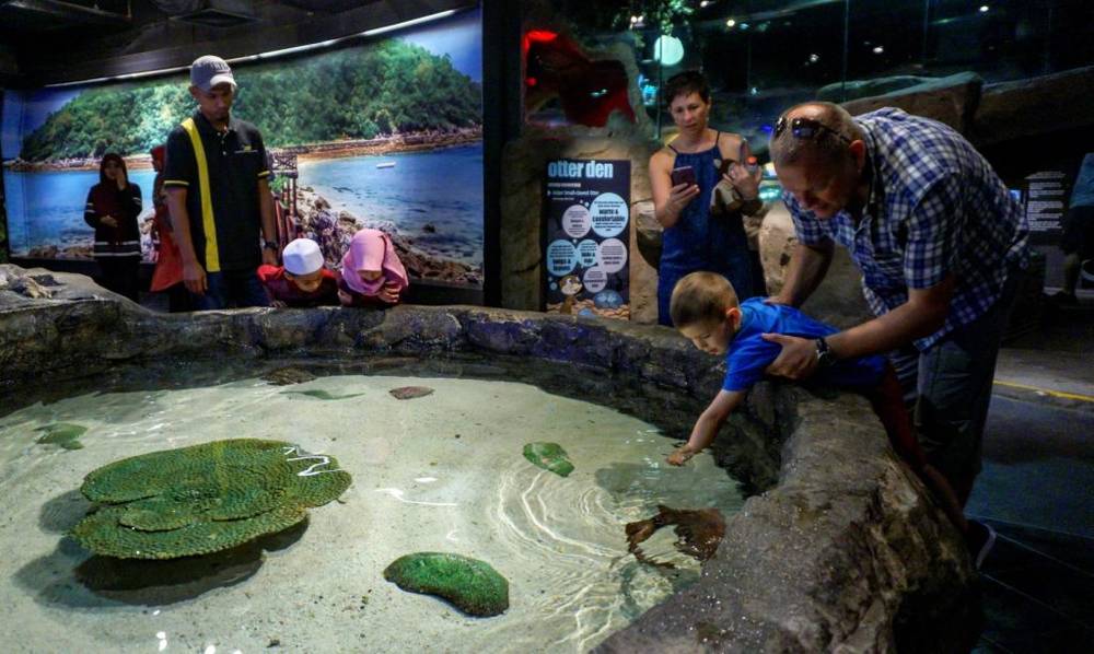 Aquaria KLCC hiện lên như một thế giới đại dương thu nhỏ | Du lịch Malaysia tháng 7