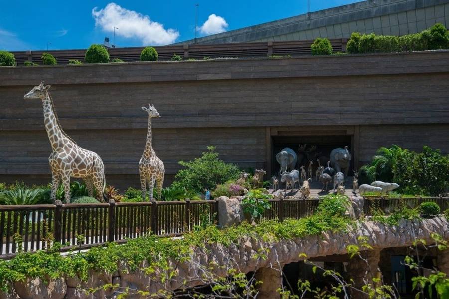 87 mô hình động vật kích thước thật bên cạnh tàu Noah
