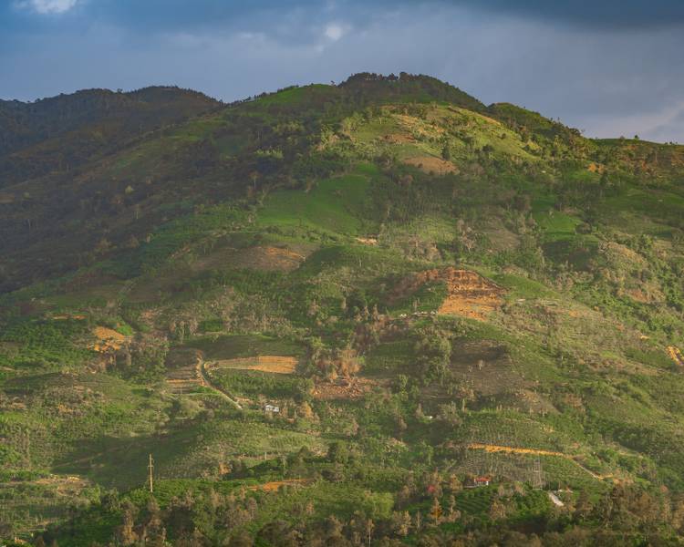 trekking