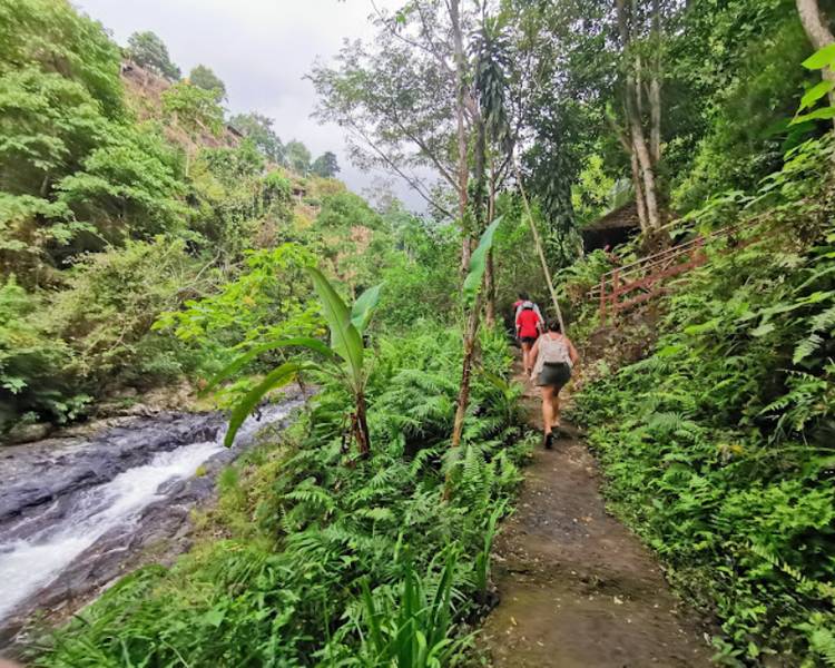 trekking