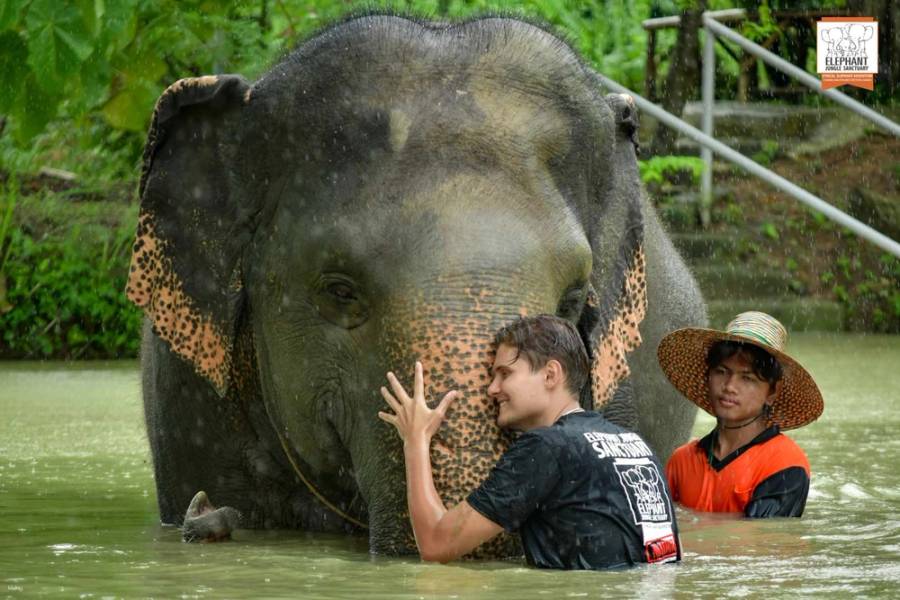 เที่ยวปางช้างเอเลเฟ่น จังเกิล แซงทัวรี ภูเก็ต - เที่ยวภูเก็ต