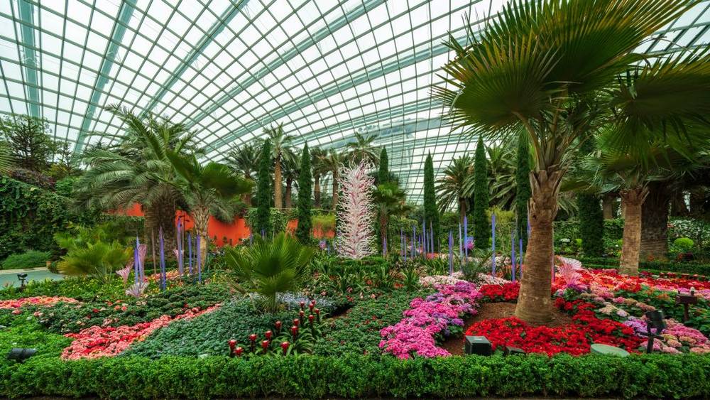 Vườn Bách Thảo Singapore – Thiên đường xanh giữa phố thị | Cảnh đẹp Singapore