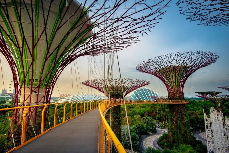 Vườn Siêu Cây tuyệt đẹp tại Gardens by the Bay | Cảnh đẹp Singapore