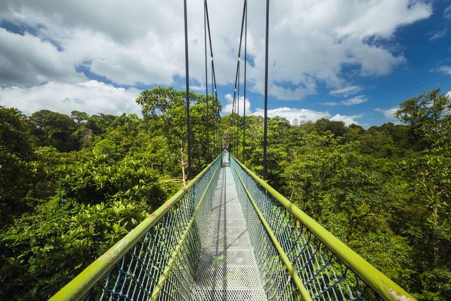 MacRitchie Reservoir – Khu rừng nguyên sinh giữa lòng thành phố | Cảnh đẹp Singapore