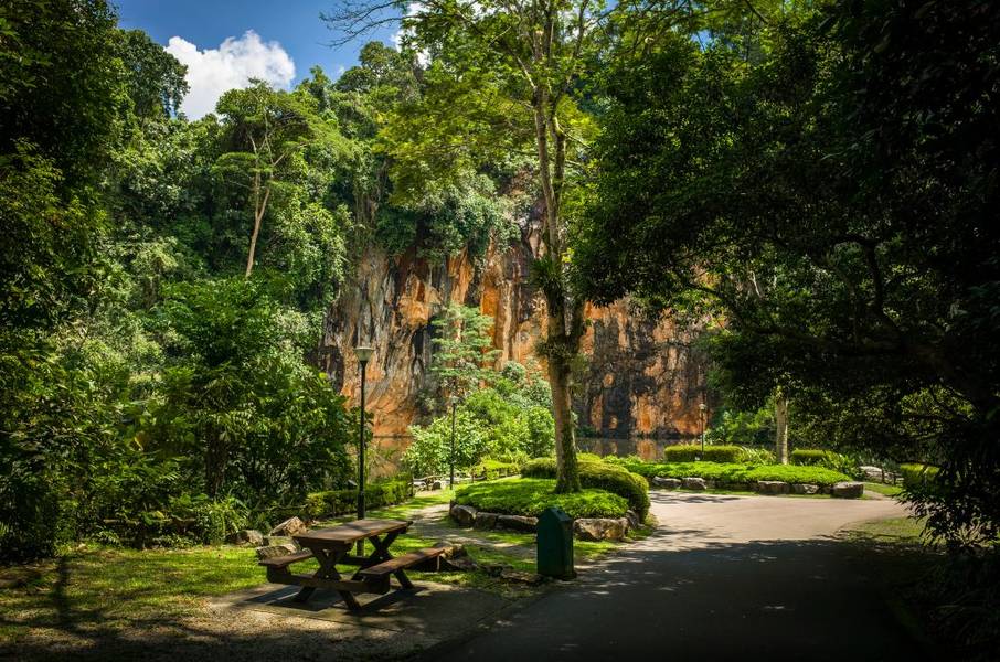 Bukit Timah – Khu bảo tồn rừng nhiệt đới phong phú | cảnh đẹp Singapore