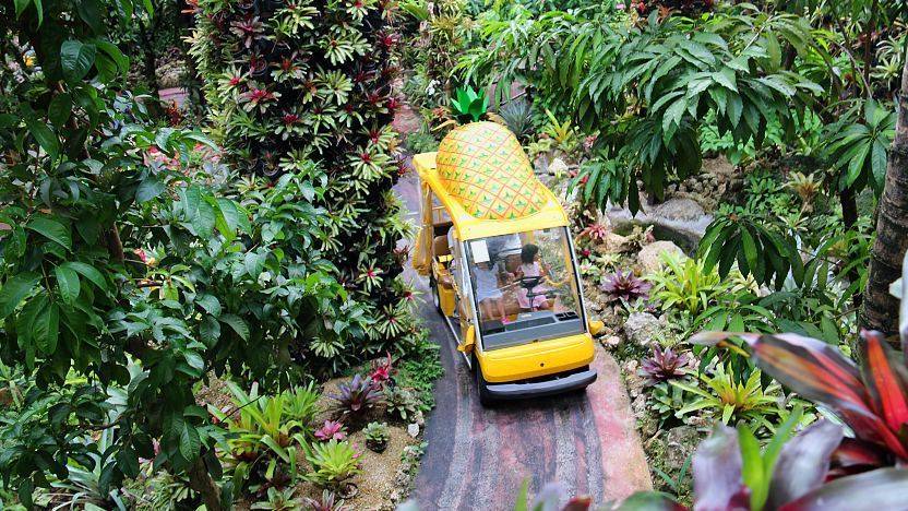 Nago Pineapple Park (สวนสับปะรดนาโกะ)