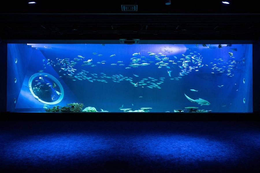 DMM Kariyushi Aquarium okinawa