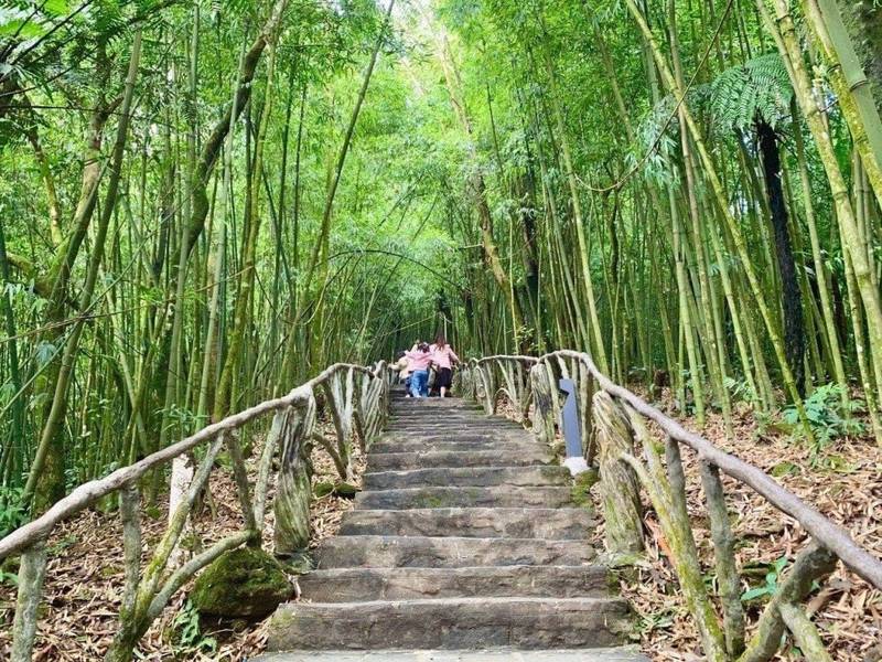 Đường lên đền Bà Chúa Thượng Ngàn với hơn 300 bậc thang xuyên qua rừng trúc