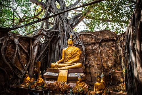ที่เที่ยวสิงห์บุรี โบสถ์ต้นโพธิ์ วัดไทร
