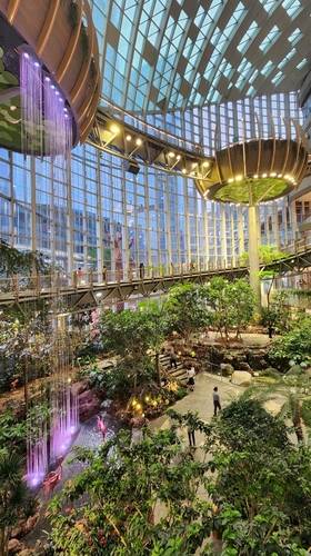 สวนพฤกษศาสตร์ฉงชิ่ง (Chongqing Botanical Garden)