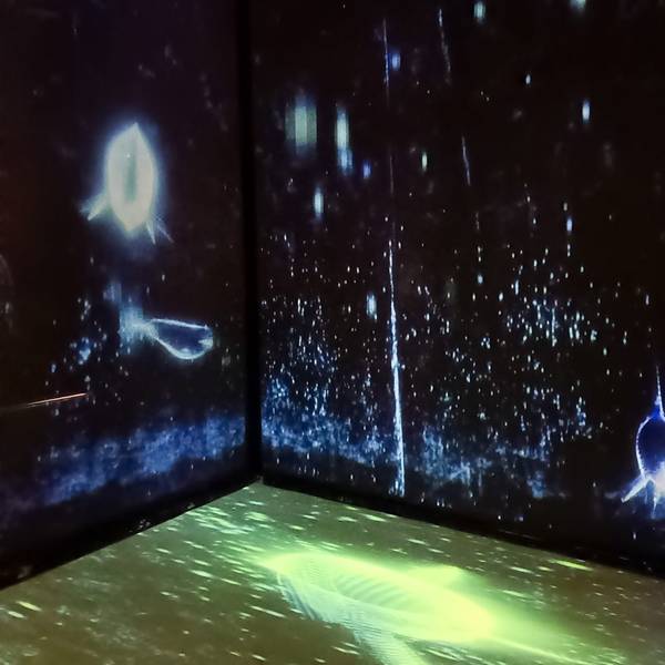 Space & Time Cube บางแค