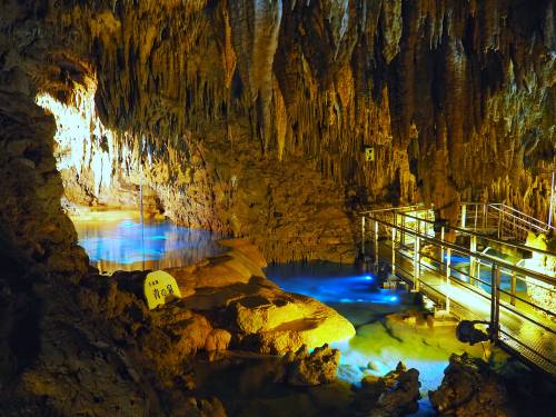 สวนสาธารณะโอกินาว่าเวิลด์ (Okinawa World)