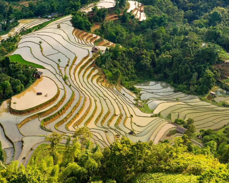ruong-bac-thang-lao-cai