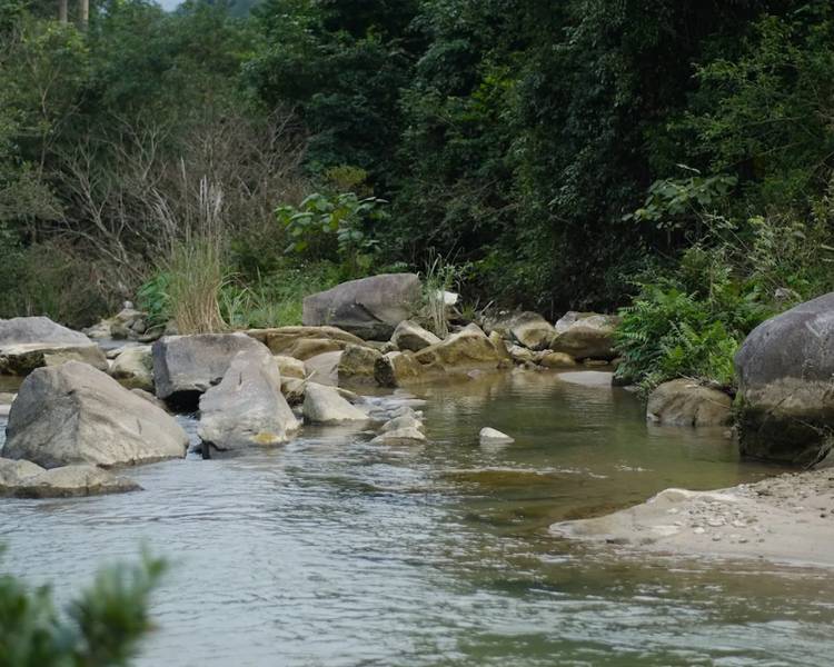 suoi-nong-khoang-son-kim