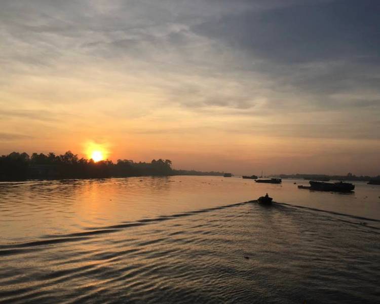 cu-lao-may-vinh-long