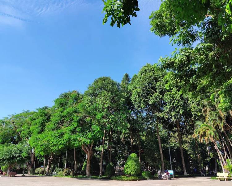 cong-vien-trung-tam-vinh-long