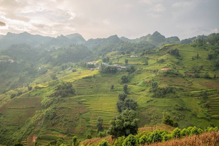 Ngắm nhìn toàn cảnh núi rừng Tây Bắc từ thung lũng hoa Bắc Hà