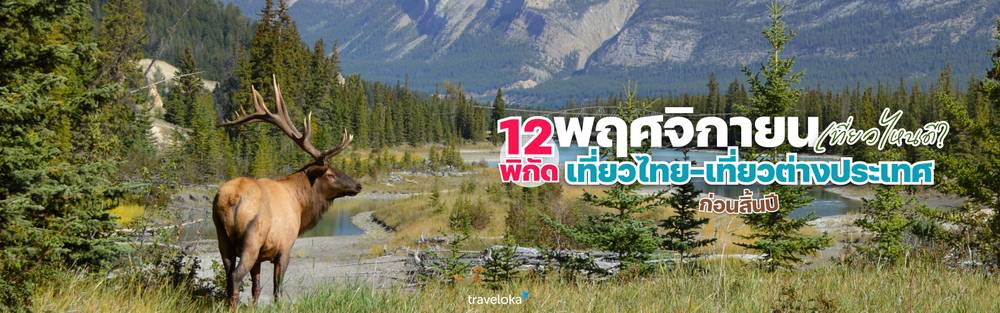 พฤศจิกายน เที่ยวไหนดี