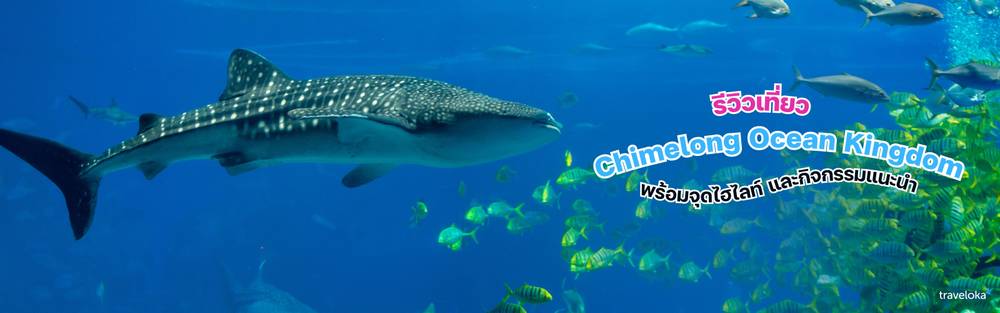 เที่ยว Chimelong Ocean Kingdom