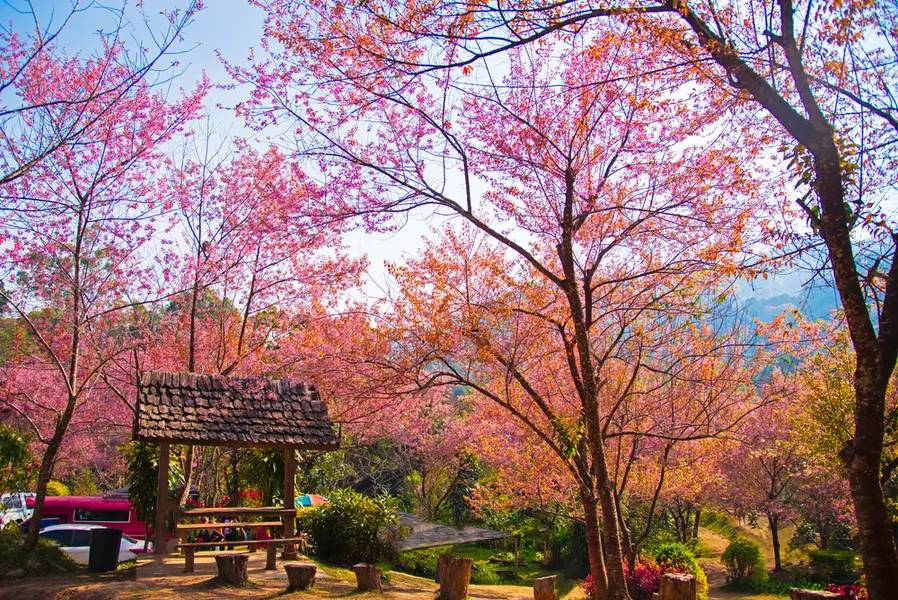 ที่เที่ยวเชียงใหม่ - ขุนช่างเคี่ยน