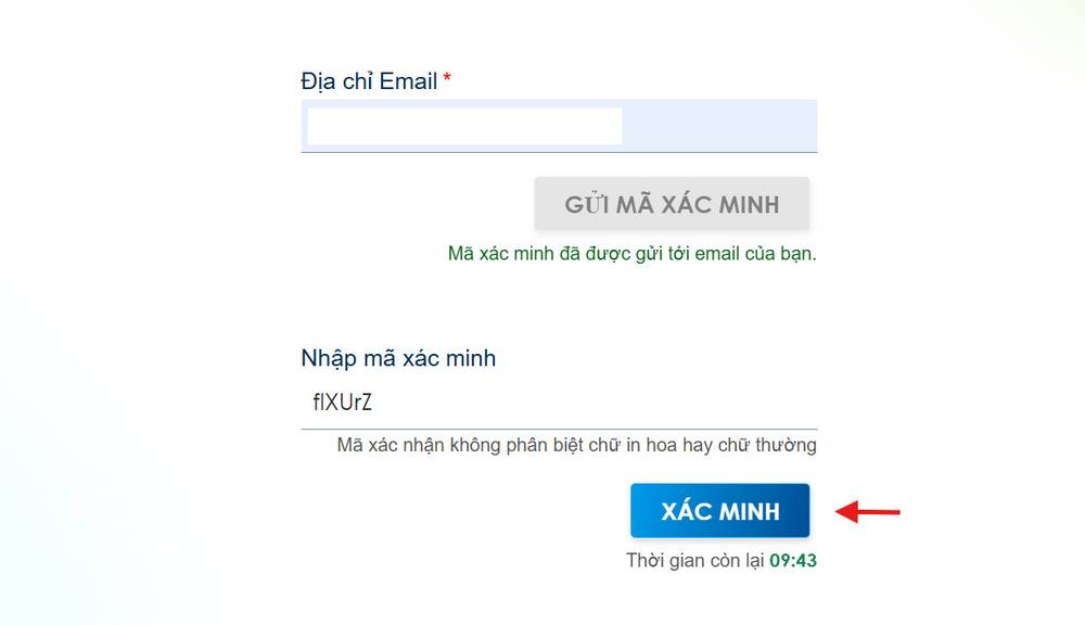 Nhập mã xác minh khi khai báo Taiwan Arrival Card