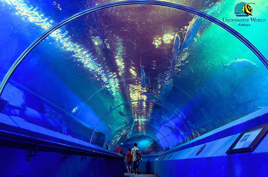 Underwater World Pattaya
