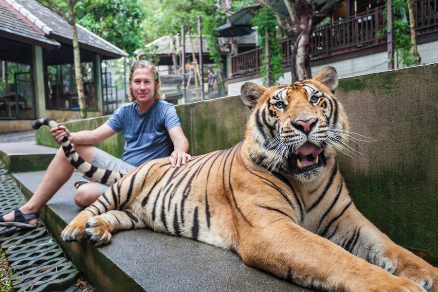 Pattaya Tiger Park