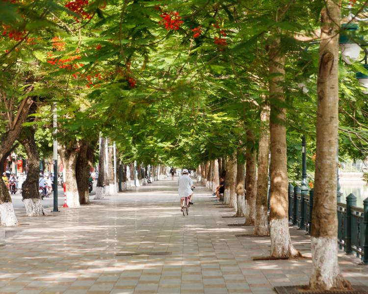 Hải Phòng nổi tiếng với tên gọi là thành phố hoa phượng đỏ.