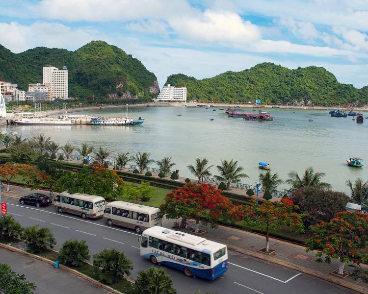 Một trong những thời điểm lý tưởng để đến Hải Phòng là mùa hè - thời điểm hoa phượng nở rộ khắp các con đường ngõ nhỏ.