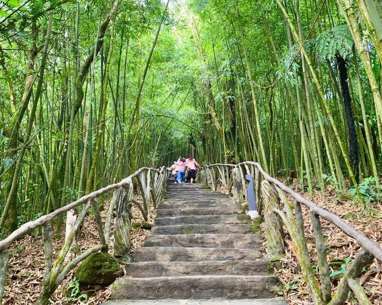 Vườn quốc gia Tam Đảo được xem là “lá phổi xanh” giữa miền Bắc, là điểm đến lý tưởng cho những ai yêu thiên nhiên và muốn tìm chốn bình yên giữa mây trời.