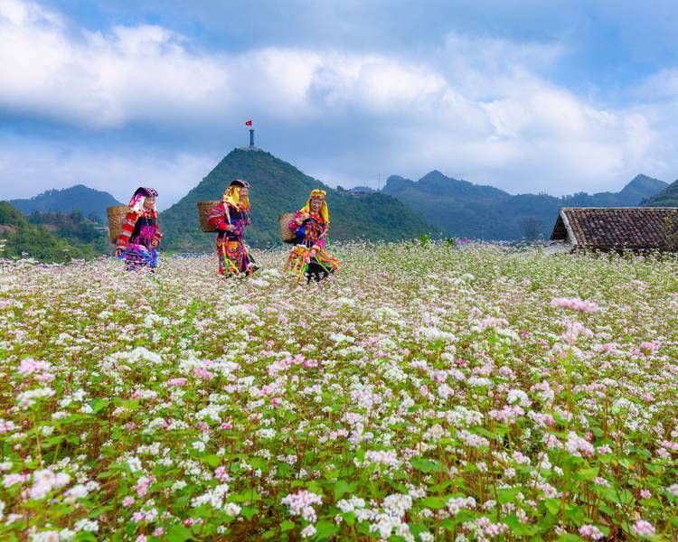 Hà Giang luôn là điểm đến lý tưởng đối với những ai mong muốn chinh phục địa điểm này vào tháng 12.