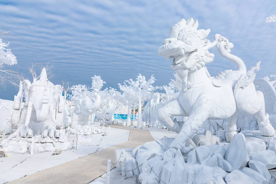 Frost Pattaya