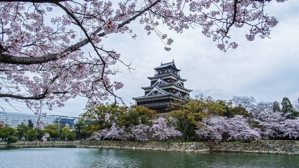 Hiroshima rợp bóng hoa anh đào vào mùa xuân. 