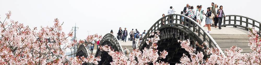 yamaguchi
