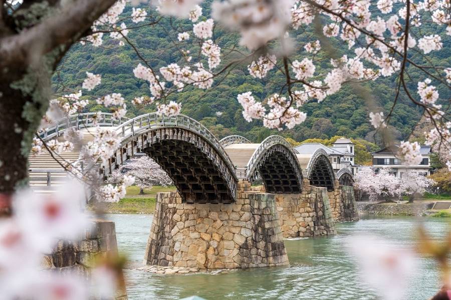 Tỉnh Yamaguchi là toạ độ du lịch hấp dẫn bậc nhất tại vùng Chugoku Nhật Bản.