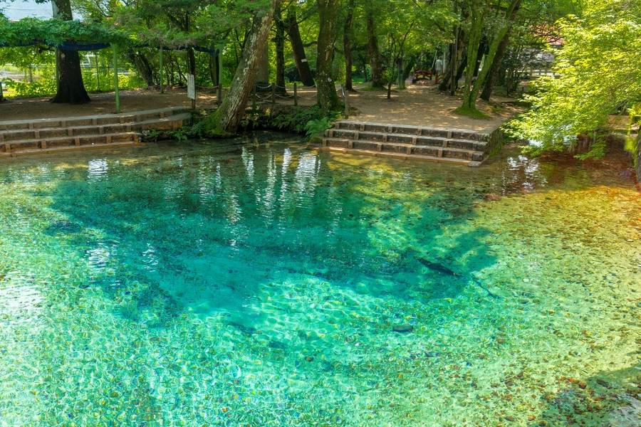Dòng nước xanh lục bảo của hồ Beppu Benten gắn liền với những câu chuyện truyền thuyết kỳ bí