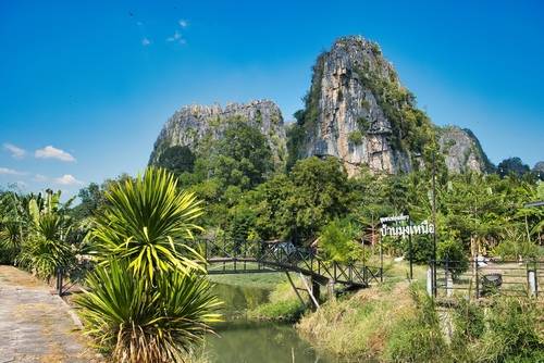 ชมวิวค้างคาว (Bat Sighting Point) พิษณุโลก