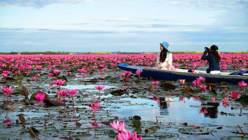 ทะเลบัวแดง - ที่เที่ยวอุดรธานี