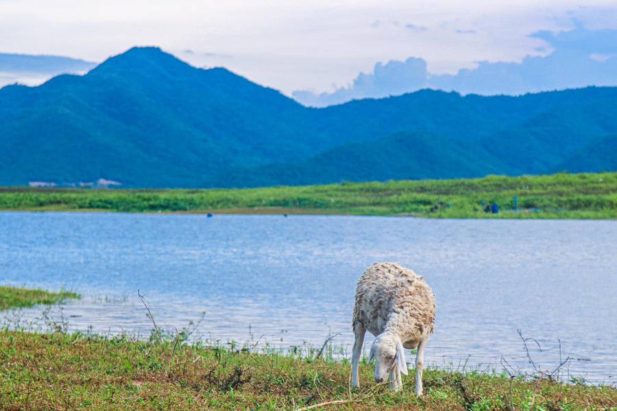 Pranburi Dam