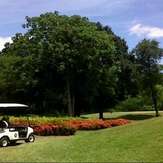พาโนรามา กอล์ฟ แอนด์ คันทรี่ คลับ (Panorama Golf & Country Club)