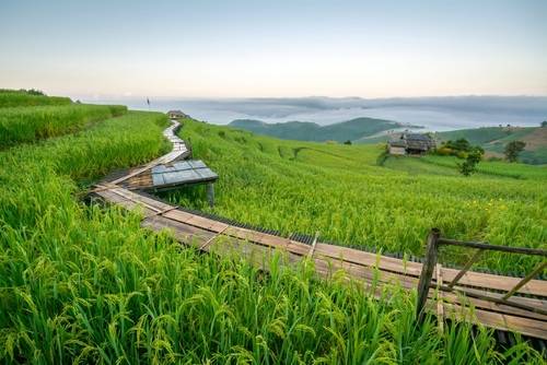 บ้านป่าบงเปียง จังหวัดเชียงใหม่